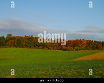 Tilt Shift Bunte Herbst Landschaft an einem sonnigen Tag Stockfoto