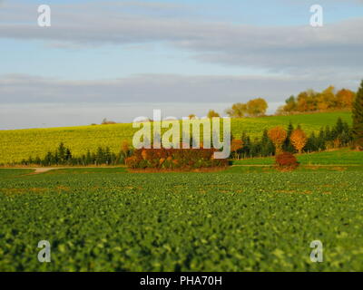 Tilt Shift Bunte Herbst Landschaft an einem sonnigen Tag Stockfoto