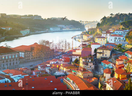 Blick auf die Altstadt von Porto, Portugal Stockfoto