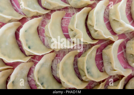 Chinesische Knödel Jaozi auf Backpapier Zubereitung Stockfoto