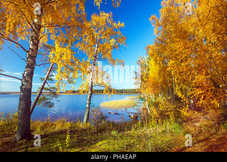 Herbstliche Park. Herbstliche Bäume und See Stockfoto