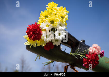 Beautifrul Blumen in den Lauf des Tanks. 9. Mai. Der Tag des Sieges in Russland. Frieden in der Welt. Memorial Day Stockfoto