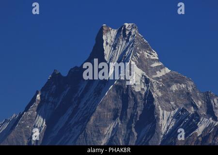 Gipfel des berühmten Fish Tail Berg Matschaputschare Stockfoto