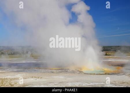 Clepsydra Geysir im Fountain Paint Pot Bereich von Yellowstone, National Park, Wyoming, USA Stockfoto