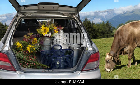 Der Kofferraum voller Milchkannen Stockfoto