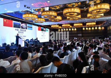 (180831) - Peking, Aug 31, 2018 (Xinhua) - Jiang Zengwei, Leiter des China Rat für die Förderung des internationalen Handels, Adressen der China-Botswana Business Forum in Peking, der Hauptstadt von China, Nov. 31, 2018. (Xinhua / Li Xin) (mp) Stockfoto