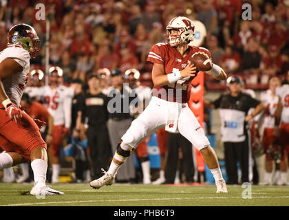 31. August, Wisconsin 2018 Dachse Quarterback Alex Hornibrook (12) steht in der Tasche im zweiten Quartal eine NCAA Football Spiel zwischen der Western Kentucky Hilltoppers und die Wisconsin Badgers in Camp Randall Stadium in Madison WI Stockfoto