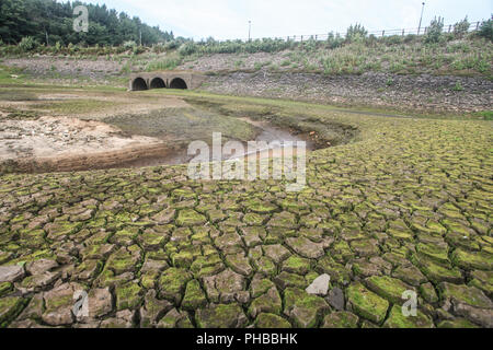 Bolton, Lancashire, UK. 1. September 2018. Wayoh Behälter. Die United Utilities besessen Wayoh Behälter, die zusammen mit der nahe gelegenen Entwistle Behälter liefert mehr als 200 und 000 Menschen in der Nähe von Bolton sucht noch geröstete Trotz eine Auswaschung Bank Holiday Wochenende von sintflutartigen Regenfällen. Auf der Höhe der Suer, IUnited Utilities drohte den Nordwesten des Vereinigten Königreichs mit einem hosepoipe Verbot, nur dass es in der letzten Minute zu entziehen. Credit: Phil Taylor/Alamy leben Nachrichten Stockfoto