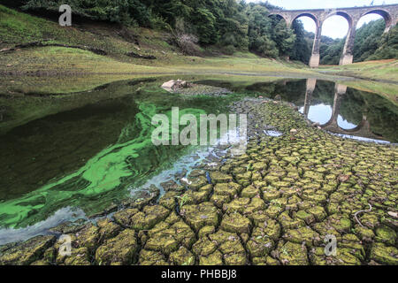 Bolton, Lancashire, UK. 1. September 2018. Wayoh Behälter. Die United Utilities besessen Wayoh Behälter, die zusammen mit der nahe gelegenen Entwistle Behälter liefert mehr als 200 und 000 Menschen in der Nähe von Bolton sucht noch geröstete Trotz eine Auswaschung Bank Holiday Wochenende von sintflutartigen Regenfällen. Auf der Höhe der Suer, IUnited Utilities drohte den Nordwesten des Vereinigten Königreichs mit einem hosepoipe Verbot, nur dass es in der letzten Minute zu entziehen. Credit: Phil Taylor/Alamy leben Nachrichten Stockfoto