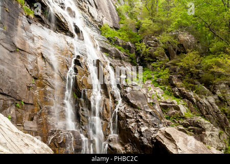 Hickory Mutter fällt in Chimney Rock State Park, North Carolina Stockfoto