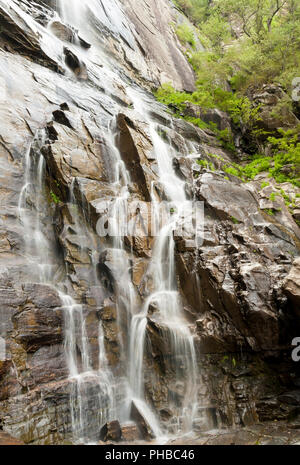 Hickory Mutter fällt in Chimney Rock State Park, North Carolina Stockfoto