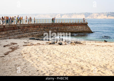 Touristen betrachten Seehunde in der Casa Strand, auch das Kinderbecken, in La Jolla Kalifornien bekannt Stockfoto