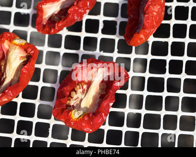 Die Herstellung von "Pummaroru Siccu", traditionelle sonnengetrocknete Tomate sehr populäre und traditionelle in Sizilien und Italien. Stockfoto