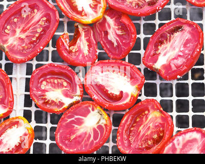 Die Herstellung von "Pummaroru Siccu", traditionelle sonnengetrocknete Tomate sehr populäre und traditionelle in Sizilien und Italien. Stockfoto