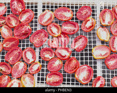 Die Herstellung von "Pummaroru Siccu", traditionelle sonnengetrocknete Tomate sehr populäre und traditionelle in Sizilien und Italien. Stockfoto