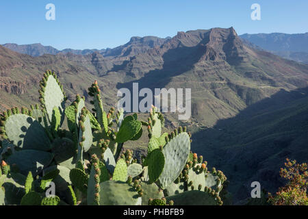 Mirador Degollada de las Yeguas, Fataga Tal, Gran Canaria, Kanarische Inseln, Spanien, Atlantik, Europa Stockfoto