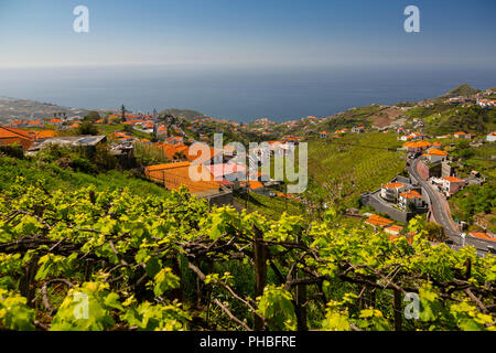 Blick auf Weinberg, auf dem Land und den Atlantischen Ozean in der Nähe von Cabo Girao, Camara de Lobos, Madeira, Portugal, Atlantik, Europa Stockfoto