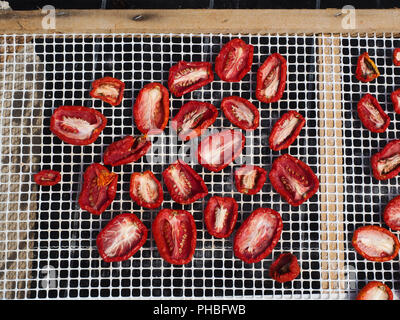 Die Herstellung von "Pummaroru Siccu", traditionelle sonnengetrocknete Tomate sehr populäre und traditionelle in Sizilien und Italien. Stockfoto