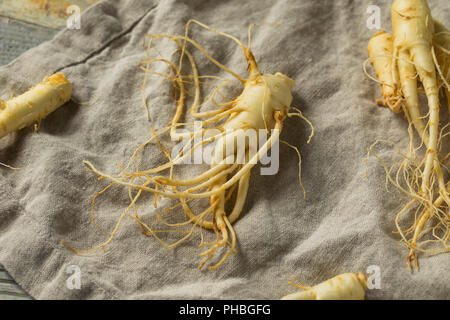 Raw Organic gesunde Ginseng Wurzel Einsatzbereit Stockfoto