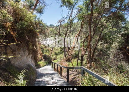 Weg durch die üppige Flora im Wai-o-Tapu geothermische Gebiet in Rotorua, Neuseeland Stockfoto