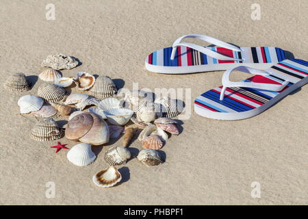 Flip Flops und Muscheln am Strand Stockfoto