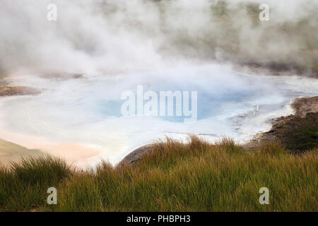 Geothermie, Hveravellir, Highland, Island, Europa Stockfoto