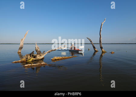 Frau Kajakfahren auf dem West Lake in den Everglades National Park, Florida. Stockfoto