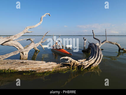 Frau Kajakfahren auf dem West Lake in den Everglades National Park, Florida. Stockfoto