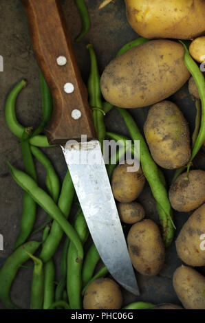Ernte - frische Kartoffeln und Bohnen Stockfoto