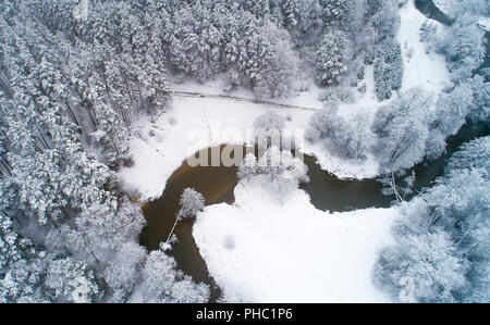 Weiß verschneiten Bäumen Luftaufnahme. Winter Forest durch Schnee Blick von oben abgedeckt. Lebendige Weihnachten Hintergrund. Stockfoto