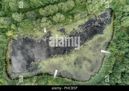 Durch Wasser Linsen grünen Teich aus der Luft Scharnier Stockfoto