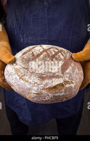 Frisch gebackene Bauernbrot Halten in der Hand mit Ofen Handschuhe Stockfoto