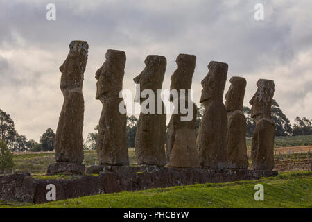 Ahu Akivi Moai Stein Köpfe von der Rückseite Rapa Nui die Osterinsel Isla de Pascua Chile Stockfoto