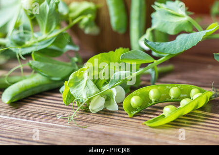 Hülsen der grüne Erbsen und Erbse auf dunklen Holz- Oberfläche Stockfoto