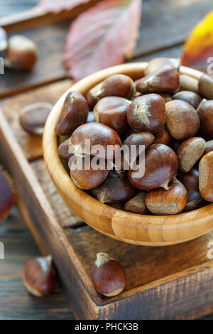 Reife Kastanien in eine hölzerne Schüssel. Stockfoto