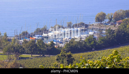 Marina Haltnau am Bodensee in der Nähe von Meersburg Stockfoto