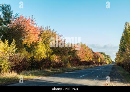 Leere Herbst Straße entlang golden Winterweizen Felder bei Sonnenuntergang Stockfoto