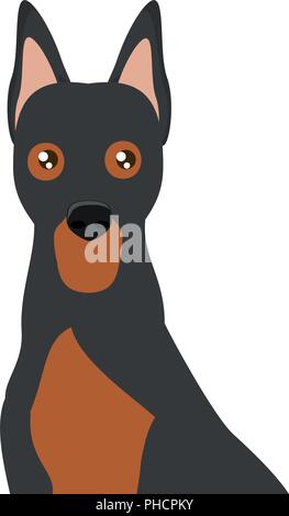 Süße Dobermann hund Symbol über Hintergrund, Vector Illustration Stock Vektor