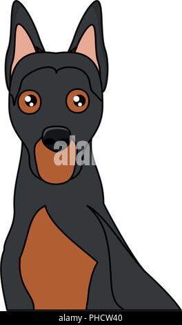 Süße Dobermann hund Symbol über Hintergrund, Vector Illustration Stock Vektor