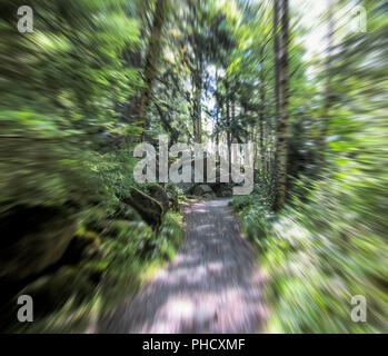Teufel Felsen im Harz, Zoom unscharf Stockfoto