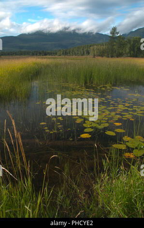 Feuchtgebiet Teich in Swan River floodplain, Swan River National Wildlife Refuge, Montana Stockfoto