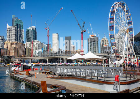 Riesenrad in Sydney Darling Harbour, New South Wales, Australien Stockfoto