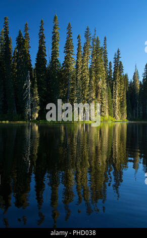 Gold-See, Willamette National Forest, Oregon Stockfoto