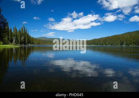 Gold-See, Willamette National Forest, Oregon Stockfoto