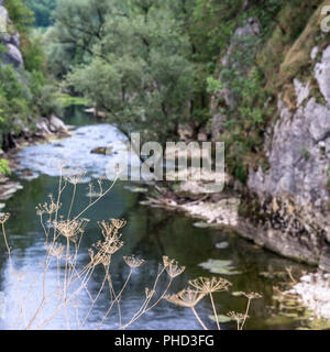 Schlucht des Flusses Sana, Bosnien Stockfoto