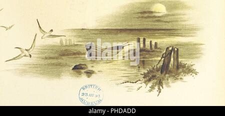 Bild von Seite 37 der "Blumen, die ich bringen und Songs, die ich singen. Gedichte von E.Fad, H. M. Burnside, A. Scanes'. Stockfoto