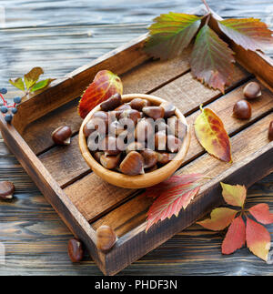 Schüssel mit reifen Kastanien auf einer Holzkiste. Stockfoto