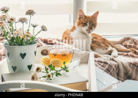 Sweet Home mit Blumen, Tee und eine Katze Stockfoto