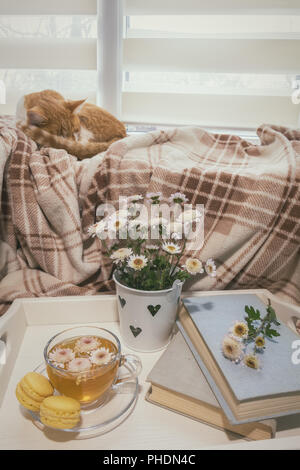 Sweet Home mit Blumen, Tee und eine Katze Stockfoto