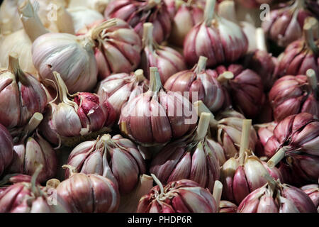 Knoblauch - Markthalle Mercado de Triana Stockfoto